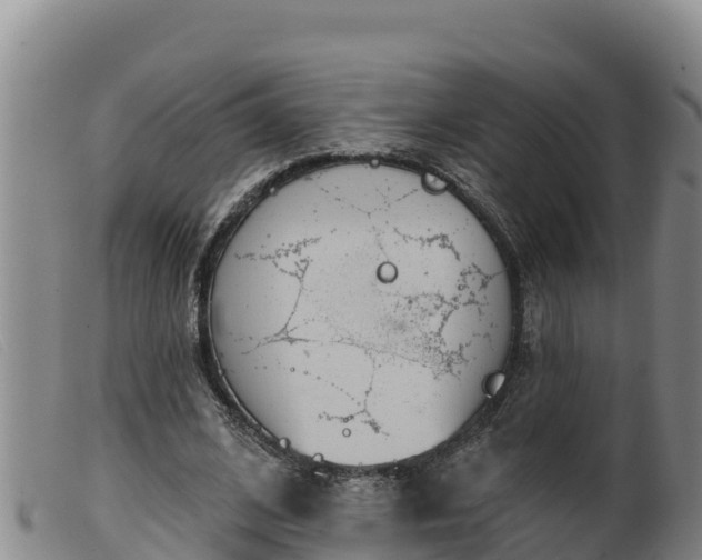 X0000099540584200805231129