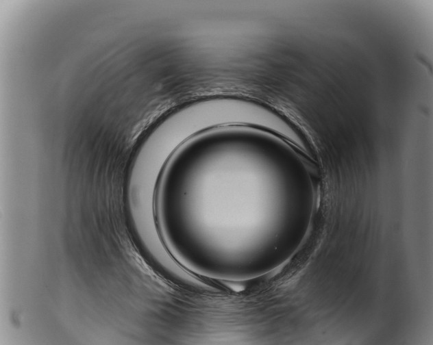 X0000099540585200805231129