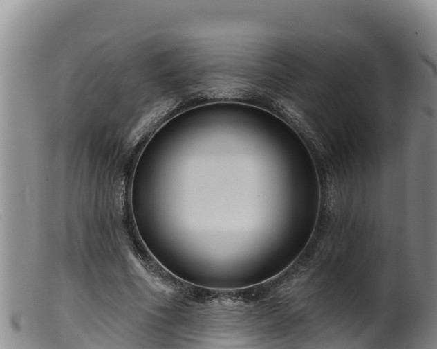 X0000099540586200805231129