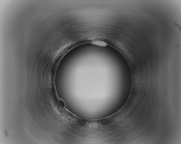 X0000099540587200805231129