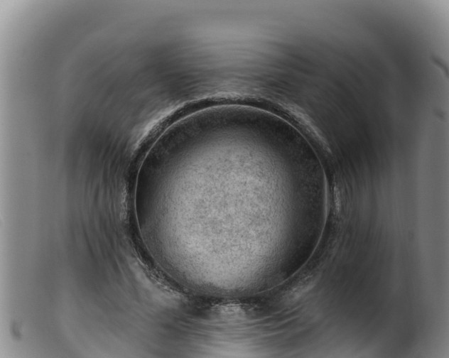 X0000099540588200805231129