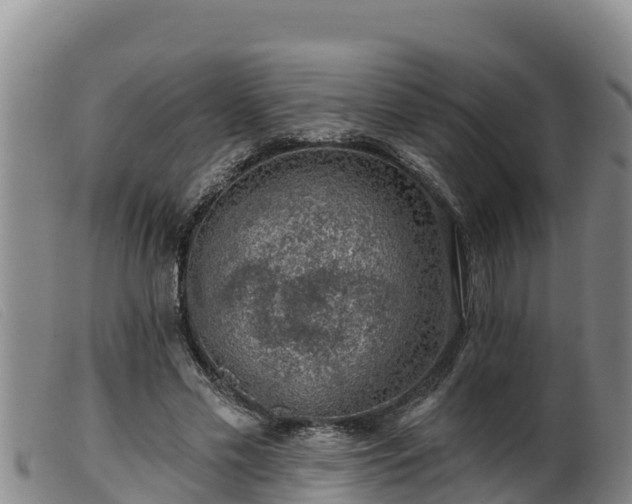 X0000099540589200805231129