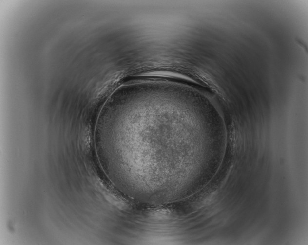 X0000099540593200805231129