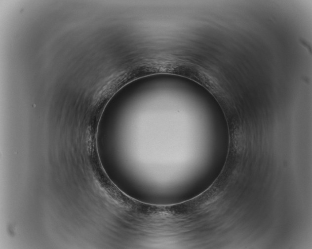 X0000099540594200805231129