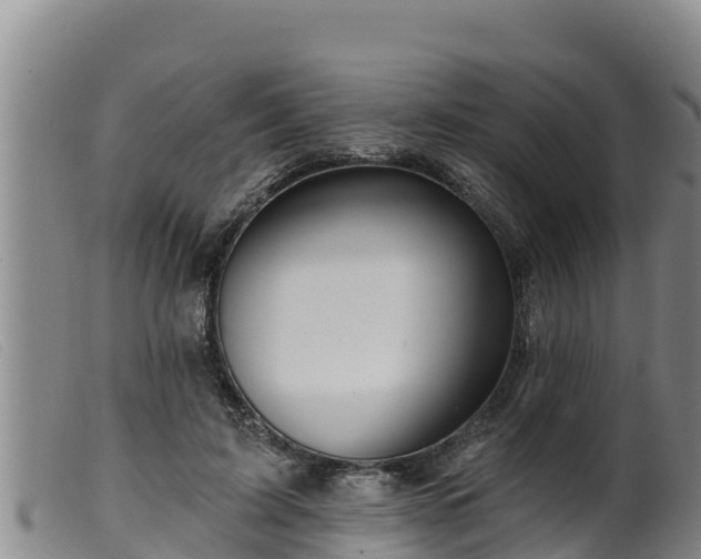 X0000099540595200805231129