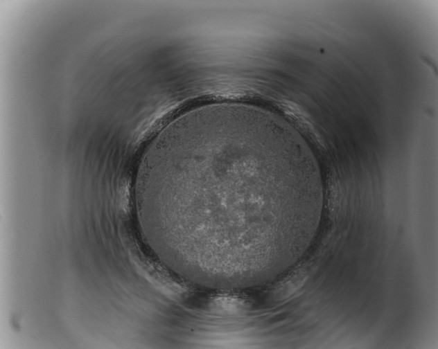 X0000099540596200805231129