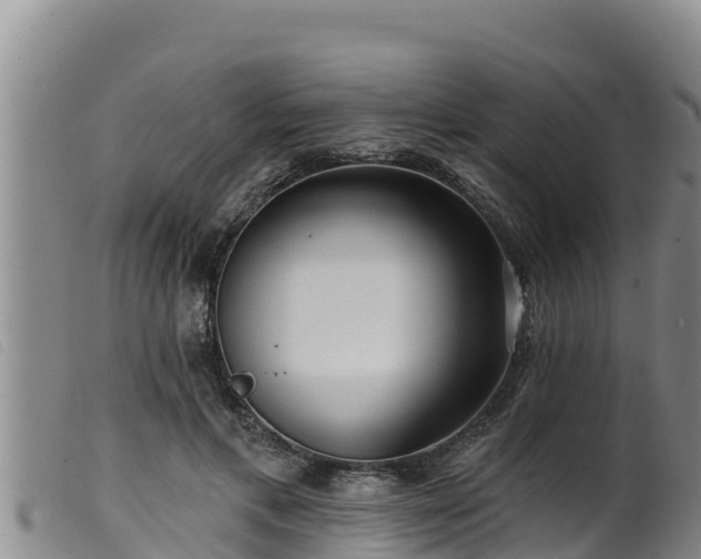 X0000099540597200805231129