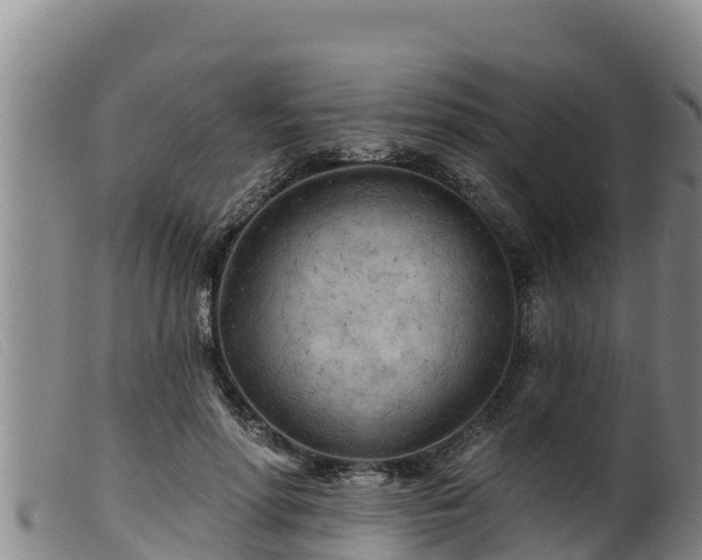 X0000099540598200805231129