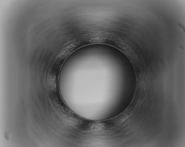 X0000099540599200805231129