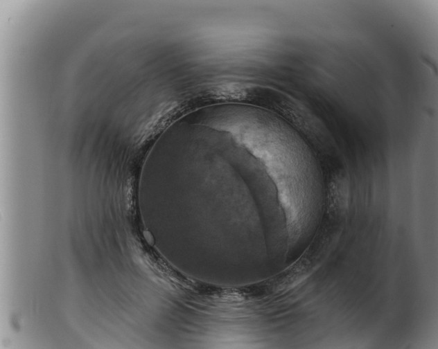 X0000099540600200805231129