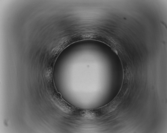 X0000099540601200805231129