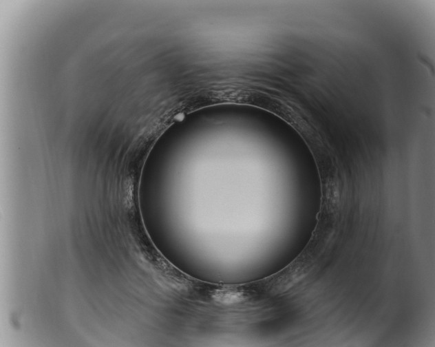 X0000099540602200805231129