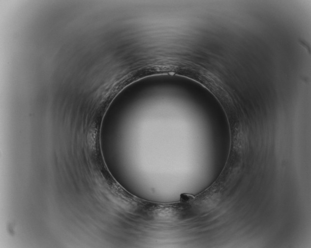 X0000099540604200805231129