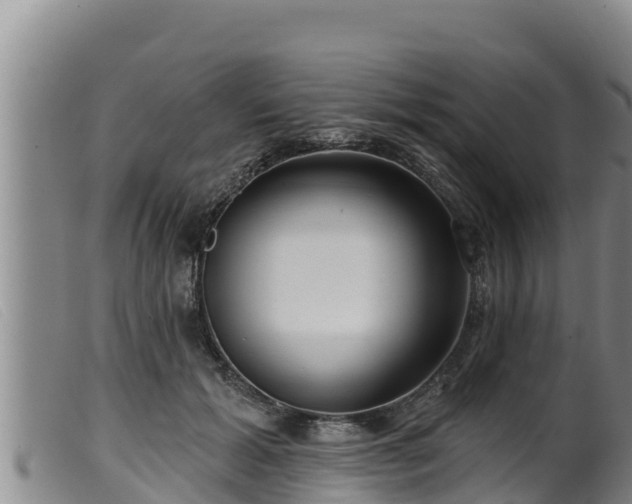 X0000099540605200805231129