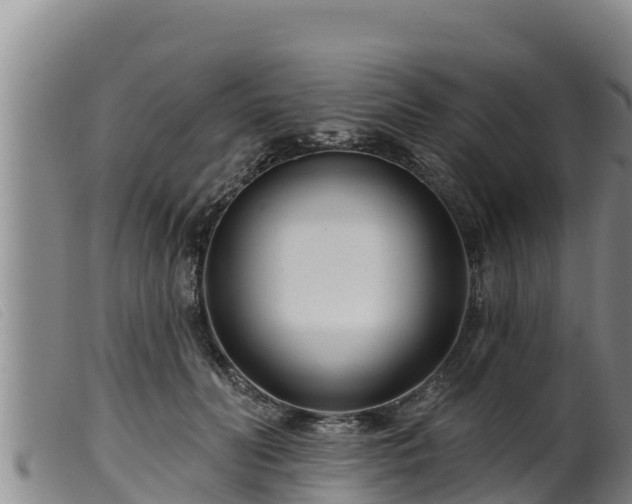 X0000099540606200805231129