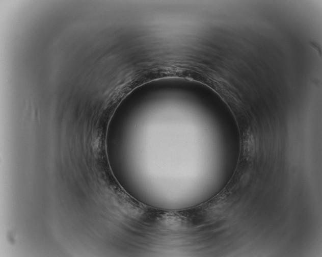 X0000099540608200805231129