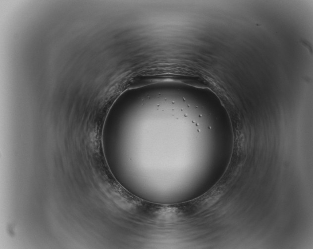 X0000099540609200805231129