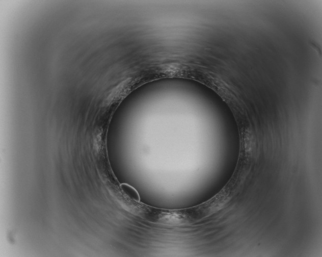 X0000099540611200805231128