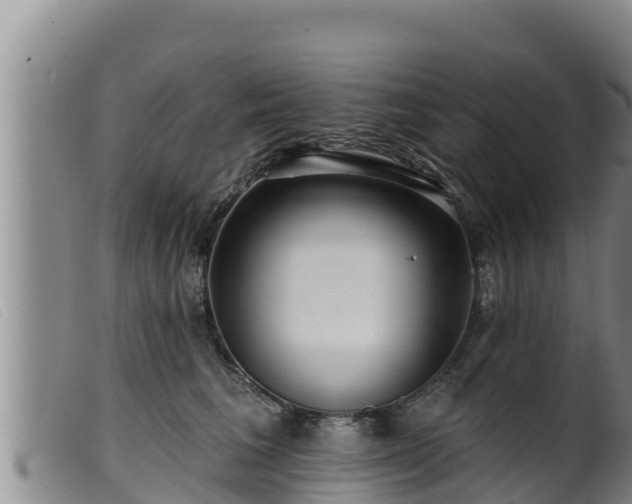 X0000099540613200805231128