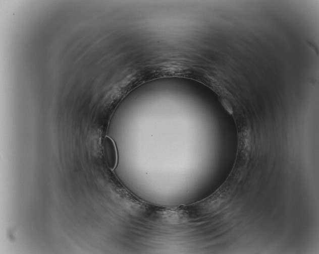 X0000099540615200805231128