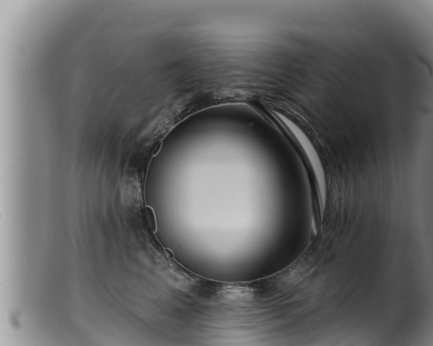 X0000099540617200805231128