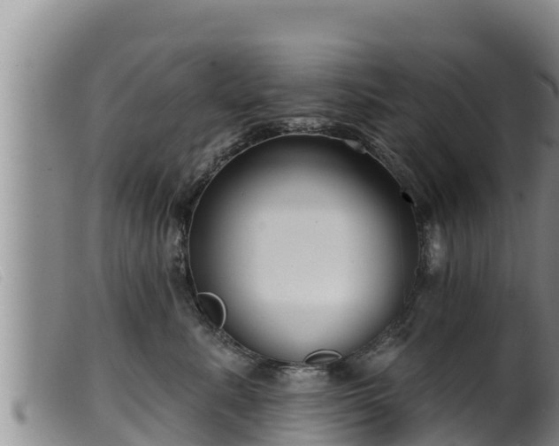 X0000099540619200805231128