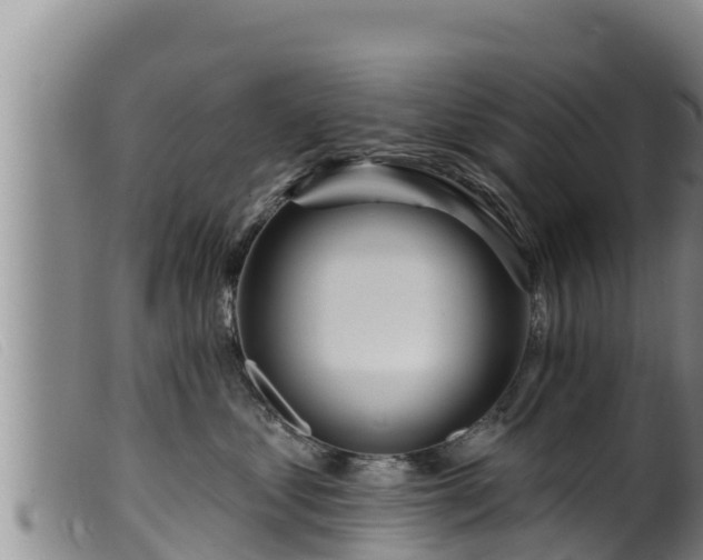 X0000099540621200805231128