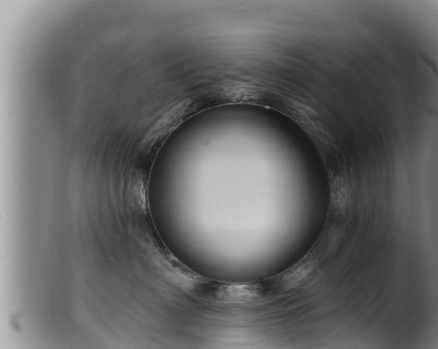 X0000099540622200805231128