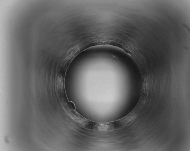 X0000099540623200805231128