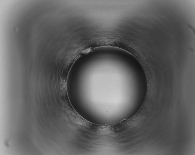 X0000099540624200805231128