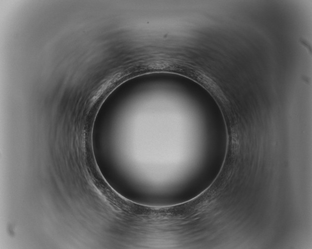 X0000099540626200805231128