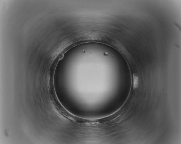 X0000099540627200805231128