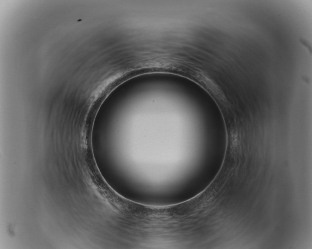 X0000099540628200805231128