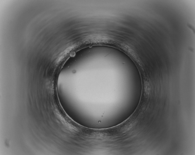 X0000099540629200805231128