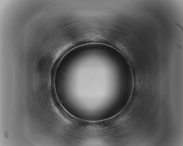 X0000099540630200805231128