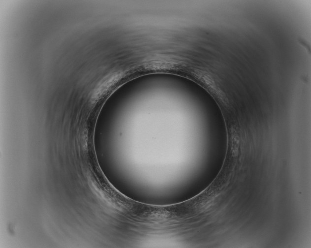 X0000099540631200805231128