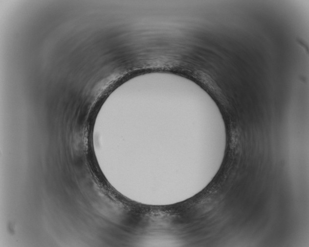 X0000099540632200805231128