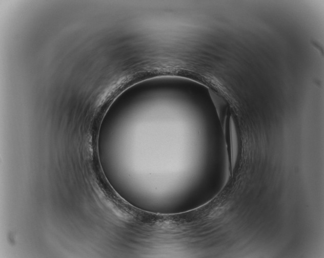 X0000099540634200805231128