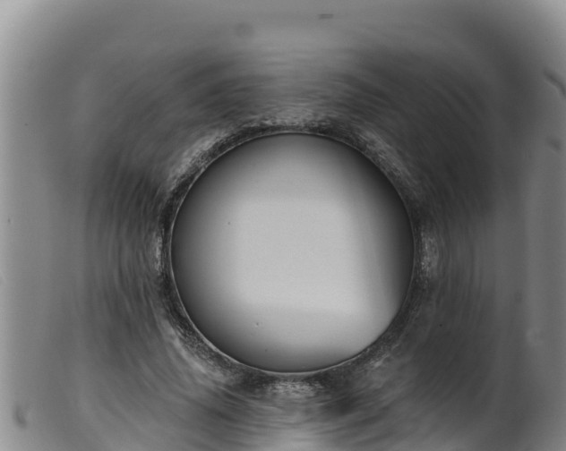 X0000099540636200805231128