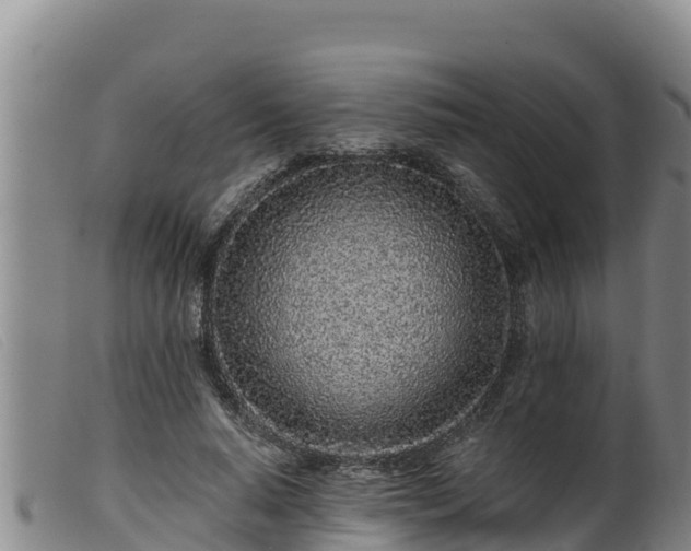 X0000099540640200805231128