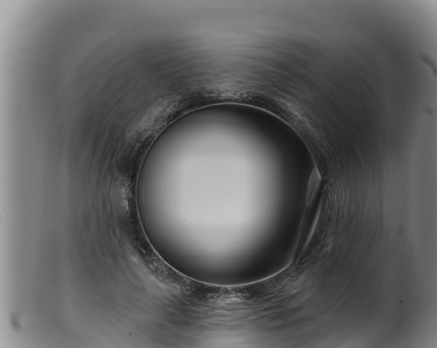 X0000099540643200805231128