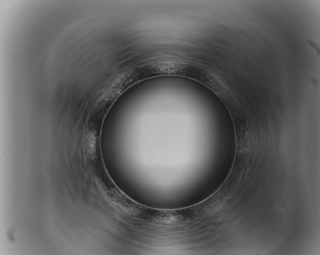 X0000099540646200805231128