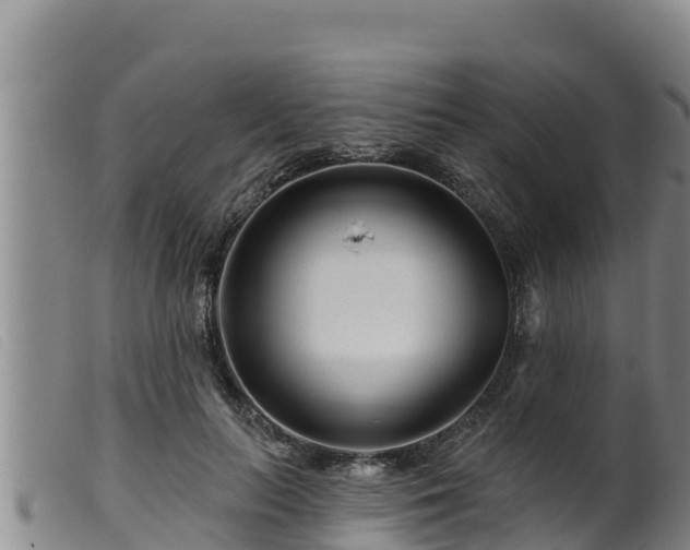 X0000099540647200805231128