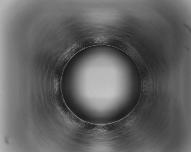 X0000099540648200805231128