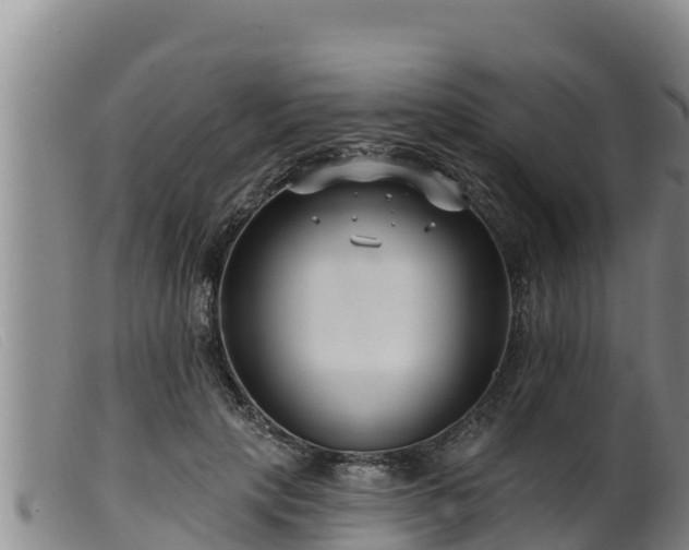 X0000099540649200805231128