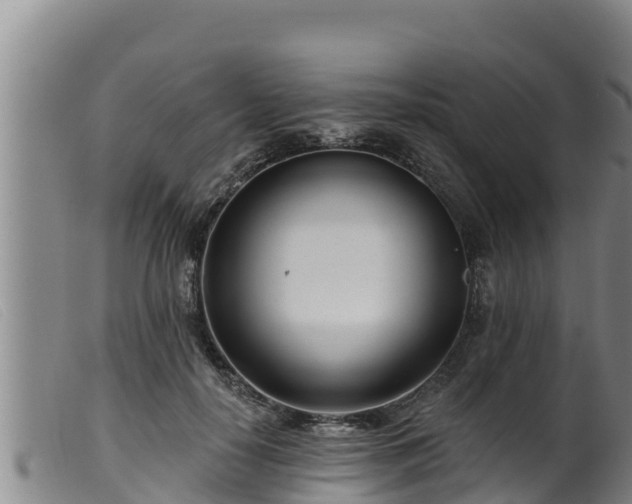 X0000099540650200805231128