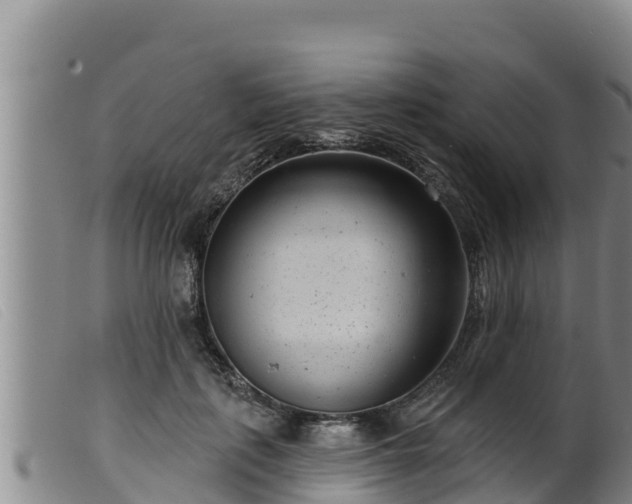 X0000099540651200805231128