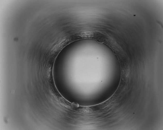 X0000099540652200805231128