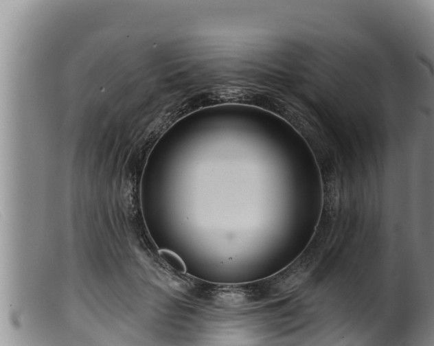 X0000099540653200805231128