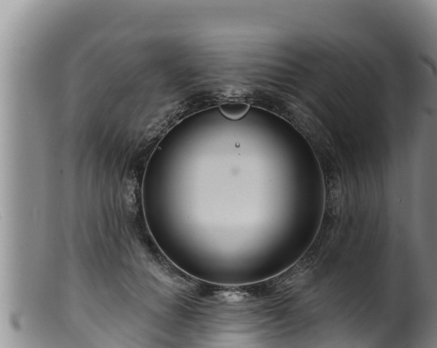 X0000099540654200805231128